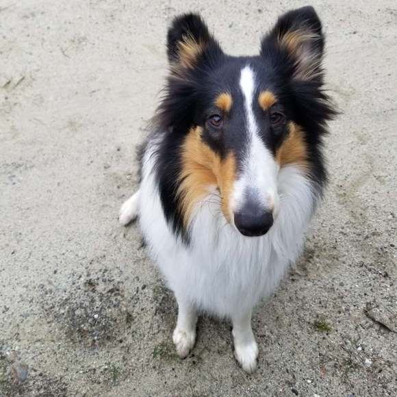 Meet your Posher, - Picture 1 of 1